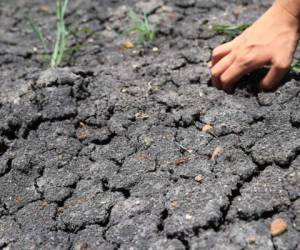 El BCR ajustó ya a la baja la previsión de crecimiento para 2015 y la dejó en un 2,3 %. La cifra inicial era de 2,5 %, la menor de Centroamérica.