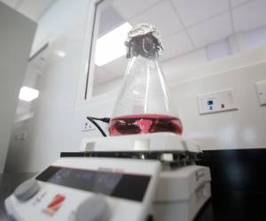 <i>Fotografía de un recipiente en el Centro Regional de Innovación en Vacunas y Biofármacos (Crivb AIP) este viernes, en Ciudad de Panamá (Panamá). Panamá inauguró el Crivb AIP, una iniciativa pionera dirigida a la investigación, desarrollo, producción y distribución de vacunas y biofármacos en Centroamérica y el Caribe. EFE/ Carlos Lemos</i>