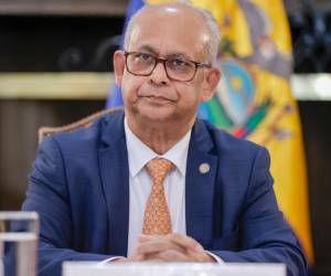 <i>El secretario general de la Organización de los Estados Americanos (OEA), Albert Ramdin, habla durante una rueda de prensa. Imagen de archivo. EFE/ José Jácome</i>