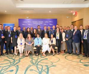 <i>La delegación está conformada por más de una docena de empresas de sectores como energía, ingeniería eléctrica, tecnologías de la información y comunicación, entre otros. Foto de cortesía</i>