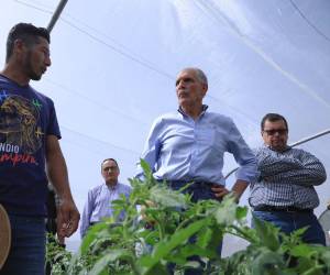 <i>El presidente de Honduras, Nasry Asfura, conoció los avances del Proyecto Integral de Desarrollo Rural y Productividad (ProOccidente). Foto de cortesía</i>