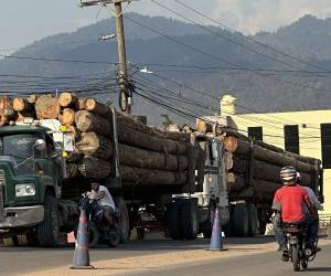 <i>Camiones de carga con madera en Olancho. Los incendios forestales, la tala ilegal y las plagas afectan cada año entre 60.000 y 70.000 hectáreas de los bosques de Honduras, causando un fuerte impacto en la industria maderera. EFE/ Germán Reyes</i>