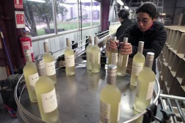 <i>Trabajadores manejan botellas en la planta embotelladora de la viña Sutil en Peralillo, Chile, el 9 de agosto de 2023. En los valles de Chile central, la tierra del Carmenere, Cabernet Sauvignon o Merlot, los enólogos cosechan de noche, usan estiércol de caballo y rescatan viejos técnicas para hacer frente a la falta de agua y los vaivenes del clima. (Foto de Pablo COZZAGLIO / AFP)</i>