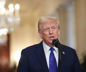 Trump busca evitar un precedente que normalice el cobro de peajes en áreas naturales que hasta el momento en ningun lugar del mundo son tarifadas. (Foto: EFE)