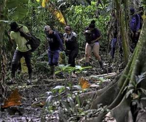 Más de 40.000 migrantes cruzaron la selva del Darién en abril