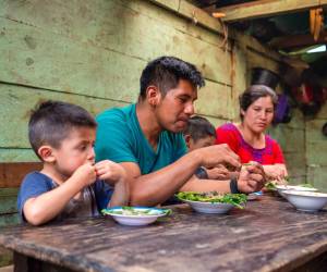 El impacto del fenómeno climático El Niño en las cosechas sumará 16 millones de personas en situación de inseguridad alimentaria en América Latina -49 millones en todo el mundo-. Foto de cortesía