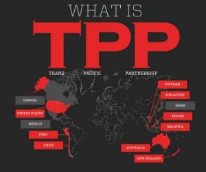 Los países del TPP son Australia, Brunei, Canadá, Chile, Japón, Malasia, México, Nueva Zelanda, Perú, Singapur, Estados Unidos y Vietnam.