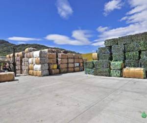 Del PET, utilizado en los envases de frescos desechables, los países receptores hacen poliéster, para fabricar ropa. (Foto: plastico.com).