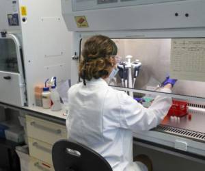 A scientist is pictured working during a visit by Britain's Prince William, Duke of Cambridge (unseen), to Oxford Vaccine Group's laboratory facility at the Churchill Hospital in Oxford, west of London on June 24, 2020, on his visit to learn more about the group's work to establish a viable vaccine against coronavirus COVID-19. (Photo by Steve Parsons / POOL / AFP)