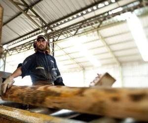 Foto: Estrategia y Negocios