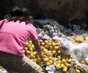 La mayor pérdida de alimentos en América Latina (55%) corresponde a frutas y hortalizas, seguida de raíces y tubérculos, pescados y mariscos (33%), cereales (25%) y legumbres, carnes y lácteos, con un 20%.