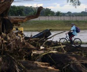 FOTO Orlando SIERRA / AFP