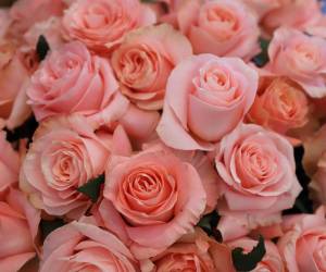 <i>Este año, los exportadores han apostado por bouquets terminados y diseños más elaborados que combinan varias especies en un solo arreglo. Foto de cortesía</i>