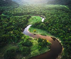 BM: Brasil debe invertir 0,5 % del PIB para lograr metas climáticas