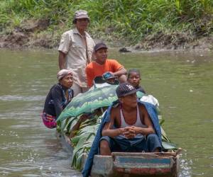 Migración irregular a Panamá aumentó un 31 % hasta agosto