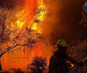 <i>En lo que va de año, los bomberos respondieron a 45.184 incendios forestales, en los Estados Unidos. (Foto: EFE)</i>