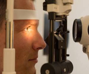 <i>Los investigadores han identificado alteraciones tempranas en células inmunitarias de la retina en un modelo animal. Foto de iStock</i>