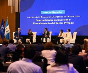 <i>El encuentro reunió a representantes del sector público, empresarial y financiero para abordar las oportunidades de inversión y financiamiento sostenible en el marco de la transición energética y la licitación PEG-5. Foto de cortesía</i>