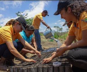 Crece exitoso programa de reforestación en Nicaragua