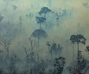 Handout aerial picture released by Greenpeace showing smoke billowing from fires in the forest in the Amazon biome in the municipality of Altamira, Para State, Brazil, on August 23, 2019. - Hundreds of new fires are raging in the Amazon rainforest in northern Brazil, official data showed on August 24, 2019, amid growing international pressure on President Jair Bolsonaro to put out the worst blazes in years. The fires in the world's largest rainforest have triggered a global outcry and are dominating the G7 meeting in Biarritz in southern France. (Photo by Victor MORIYAMA / GREENPEACE / AFP) / RESTRICTED TO EDITORIAL USE - MANDATORY CREDIT 'AFP PHOTO / GREENPEACE / VICTOR MORIYAMA' - NO MARKETING - NO ADVERTISING CAMPAIGNS - DISTRIBUTED AS A SERVICE TO CLIENTS