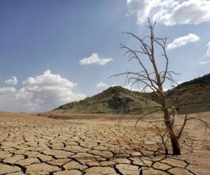 ONU: Regiones enteras serán inhabitables por olas de calor en las próximas décadas