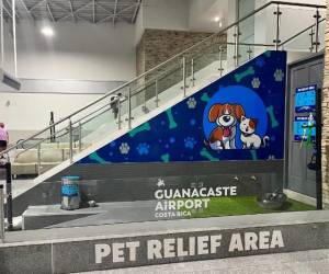 Mascotas cuentan con su propia área en Guanacaste Aeropuerto de Costa Rica