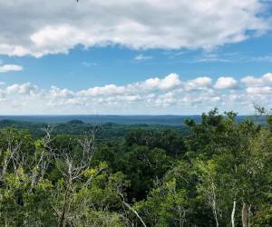 Grupo AJE impulsará economías circulares en bosques de Centroamérica