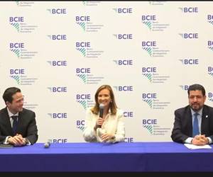 <i>Primera intervención de Ana Gisela Sánchez como presidenta del BCIE. Captura de pantalla.</i>