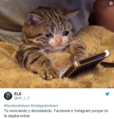 Usuarios se desahogan en memes por caída de WhatsApp, Instagram y Facebook