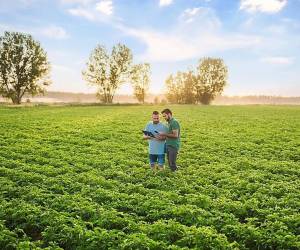 A enero de 2025, las exportaciones costarricenses de los sectores agrícola y alimentario en su conjunto representan el 31 % del total de los envíos que hace el país al exterior. Foto de iStock