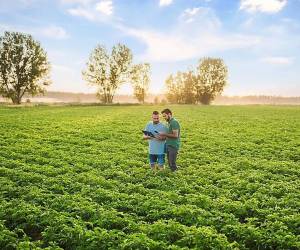 <i>En el frente agropecuario, la actividad creció 3 %, impulsada por el café, cuyo precio internacional alcanzó máximos históricos debido a una menor oferta global. Foto de iStock</i>