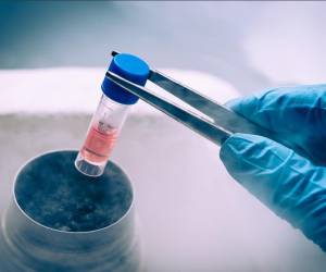 <i>FOTO CORTESÍA / E&amp;N</i>