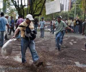 El sector del café es uno de los que está perdiendo competitividad. (Foto: AFP)