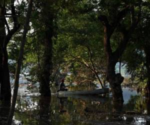 Un hombre rema un bote en el lago Jucutuma, que se secó durante una sequía severa en octubre, pero ha vuelto a la vida después del paso de la tormenta tropical Eta, en San Pedro Sula, Honduras, el 10 de noviembre de 2020. - Lagos Jucutuma, Ticamaya y El Carmen, los tres en el área de San Pedro Sula, se habían secado en octubre debido a una severa sequía. (Foto de Orlando SIERRA / AFP)