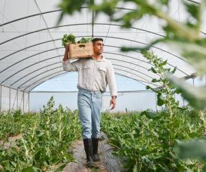 Casi la mitad de la población mundial vive en hogares vinculados a sistemas agroalimentarios