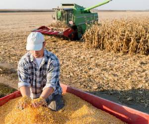 ¿Cómo contener los precios de los alimentos a 100 días de la invasión de Ucrania?