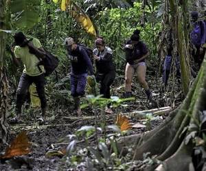 Récord de más de medio millón de migrantes han cruzado selva panameña