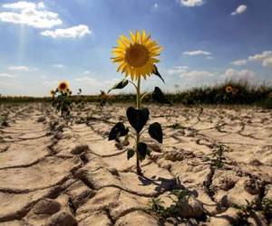 Para mantenerse por debajo de los 2°C se necesitarán tecnologías de captura de CO2. (Foto: Archivo)