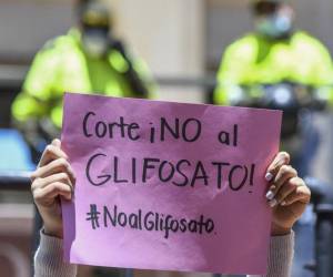<i>Una mujer sostiene un cartel que dice “¡Tribunal, no al glifosato!” Durante una protesta contra el uso de productos químicos como herbicidas en fumigaciones aéreas contra cultivos ilícitos, frente al edificio de la Corte Suprema en Bogotá el 20 de abril de 2021. Juan BARRETO / AFP</i>