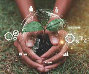 BID Invest ha participado como inversionista ancla en la primera emisión de bonos sostenibles por un monto total de US$100 millones de Banistmo. Foto de iStock