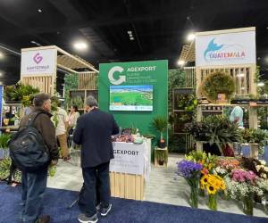Empresas guatemaltecas participan en la Exposición Internacional de Plantas Tropicales