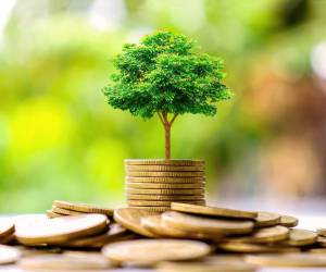 El Grupo BID ha aumentado su financiación para la adaptación en América Latina y el Caribe a US$2.200 millones, elevando la participación de la adaptación en el total de préstamos climáticos al 33 %. Foto de iStock