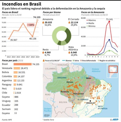 Deforestación, principal causa de los incendios en la Amazonía