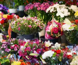 Guatemala llena de colores el Día de San Valentín con sus exportaciones de flores