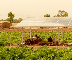 <i>El objetivo es ofrecer soluciones que impulsen el acceso a la energía limpia, la resiliencia de la red y las aplicaciones solares emergentes. Foto de cortesía</i>