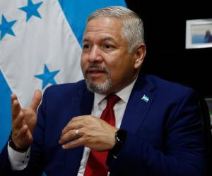 El canciller de Honduras, Eduardo Enrique Reina, reconoció que su país no ha cumplido con algunas de las reformas legales. Foto de EFE/ Gustavo Amador