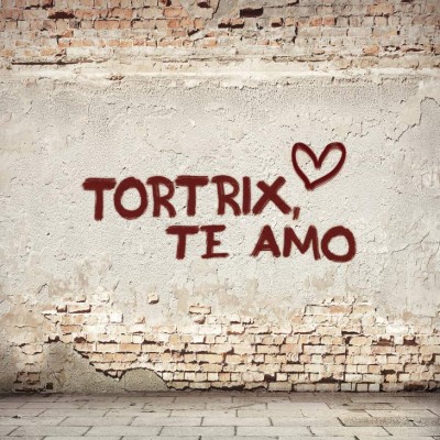 TORTRIX, ‘snack’ con sabor chapín