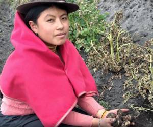<i> Laurita, 19 años, vive en las montañas de Ecuador con su familia. FOTO tomada de © Plan International / E&amp;N</i>