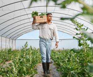 La agricultura familiar es especialmente vulnerable a eventos climáticos extremos, lo que afecta la productividad y la seguridad alimentaria de nuestra región. Foto de iStock
