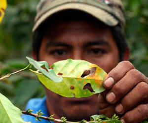 Foto: Estrategia y Negocios